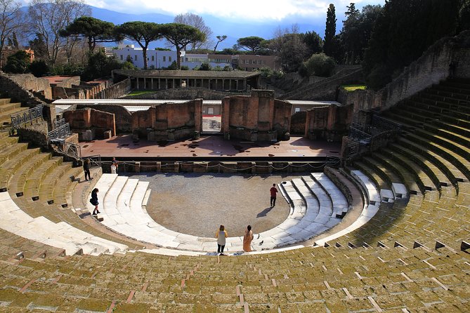 Skip-The-Line Best of Pompeii in One Day Tour W Local Guide & New Opened Houses - Meeting and Pickup Details