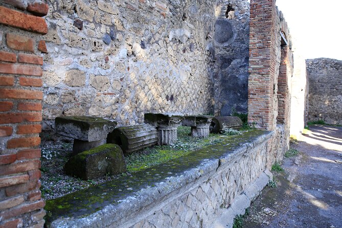 Skip-the-line Exclusive Private Full-Day Complete Ancient Pompeii Guided Tour - Customizable Itinerary