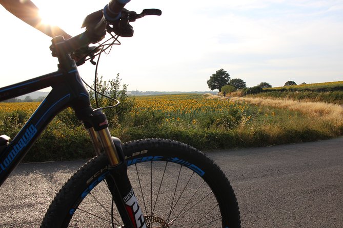 Small Group E-Bike Chianti Tour With Farm Lunch From Siena - Tour Highlights