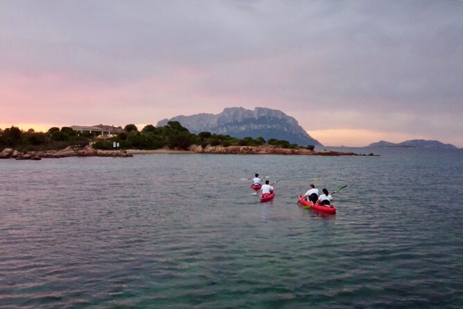 Small Group Sunrise Kayak Tour With Snorkeling and Coffee - Activity Highlights