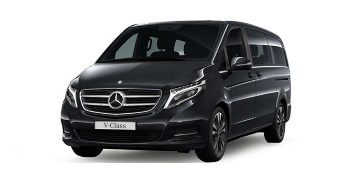 The Best Transfer From Civitavecchia Port to Naples Area - Driver and Pickup Details