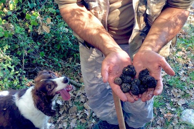 The Real Truffle Hunting in Abruzzo - Guided Truffle Hunt Details