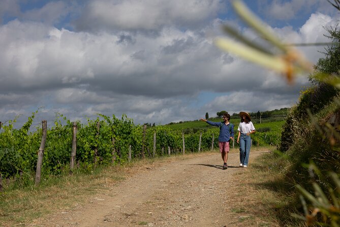 Walking Tour of Chianti Classico With 3 Organic Wine Tasting and Lunch - Tour Features