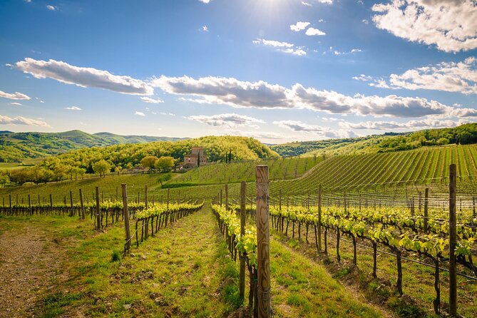 Wine Tasting in TWO Family Wineries Around Florence - Location Details