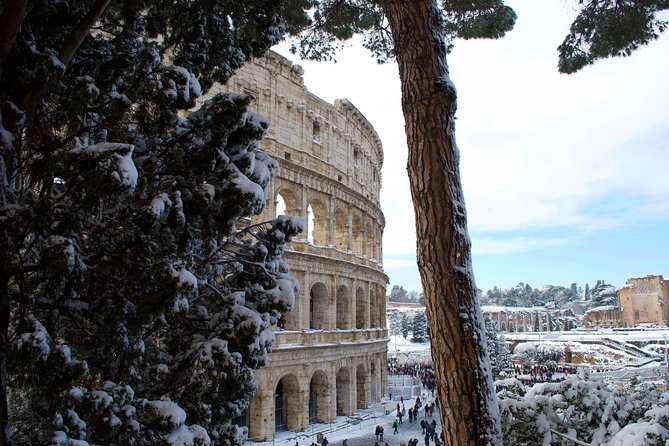 Colosseum, Roman Forum, and Palatine Express Entry - Explore Independently at Your Own Pace