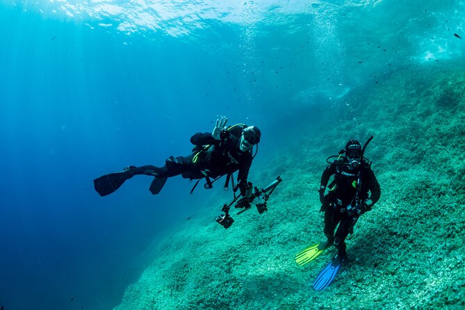 Guided Diving for Beginners Without Certification From Sorrento - Additional Traveler Information