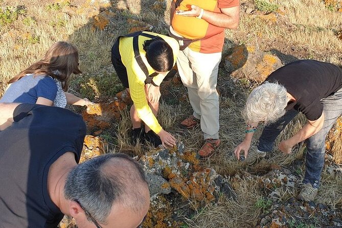 Guided Geological Excursion to Ustica - Start and Pickup Information