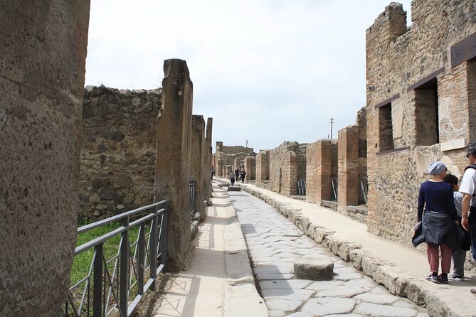 Half-Day Exclusive Private Tour of Pompeii and Herculaneum - Transportation Logistics