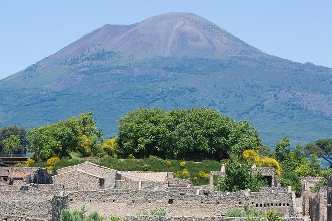 Naples City and Pompeii Half-Day Sightseeing Tour From Sorrento - Itinerary