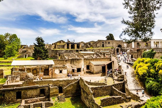 Pompeii Ruins Skip the Line Entrance Tickets With Guided Tour - Reviews