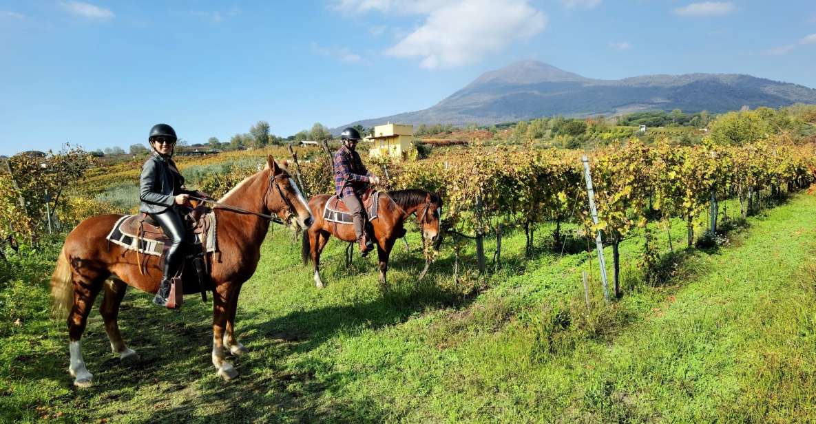 Pompeii: Ruins Tour and Mount Vesuvius Horseback Ride - Experience