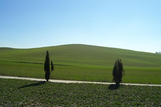 Private Tour to Siena and San Gimignano With Wine Tasting & Lunch - Pickup and Meeting Points