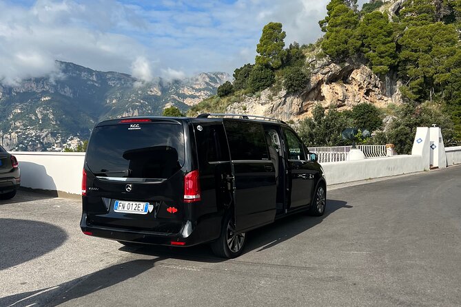 Private Transfer From Sorrento to Rome - Reviews