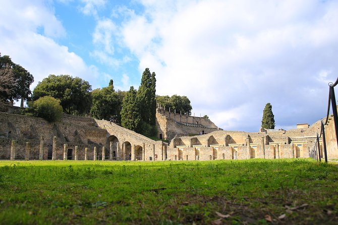 Skip-The-Line Best of Pompeii in One Day Tour W Local Guide & New Opened Houses - Reviews Overview