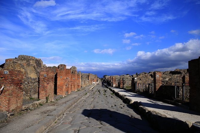 Skip-the-line Exclusive Private Full-Day Complete Ancient Pompeii Guided Tour - Additional Information