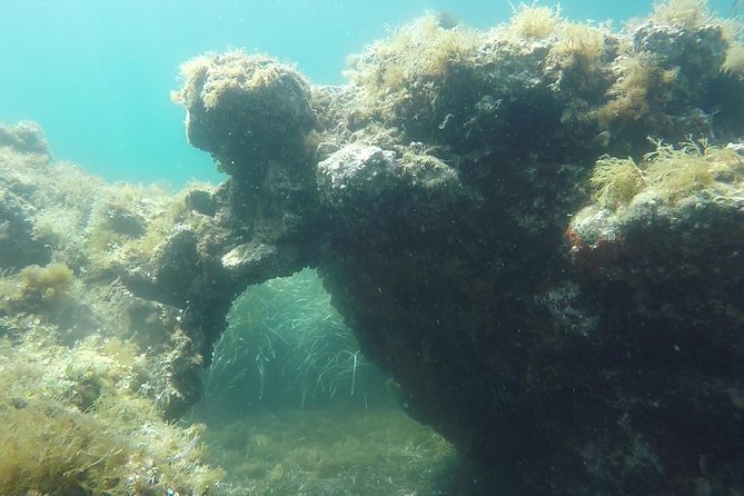 Snorkeling Among the Underwater Caves of Ischia Ponte - Pricing Information