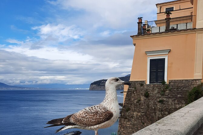 Sorrento in the Grand Tour With Breathtaking Landscapes - Attractions and Accessibility