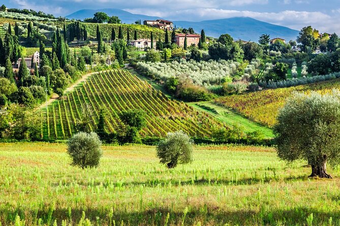 Tuscany Private Tour With Wine and Cheese Tasting From Florence - Booking Information