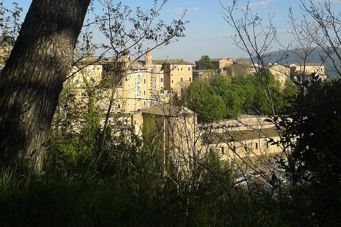 Visit of the Ducal Palace of Urbino - Start Time and Opening Hours