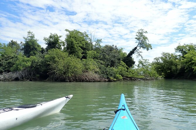 2 Hour Night Kayak Tour in Venice, Premium Experience With Sunset - Additional Info