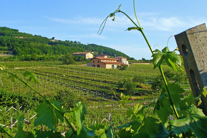 Amarone-Soave Wine Tour. Visit Verona. From Venice - Additional Details