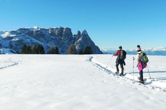 Bolzano Dolomites: Winter Hiking & Sledding Experience - Additional Information