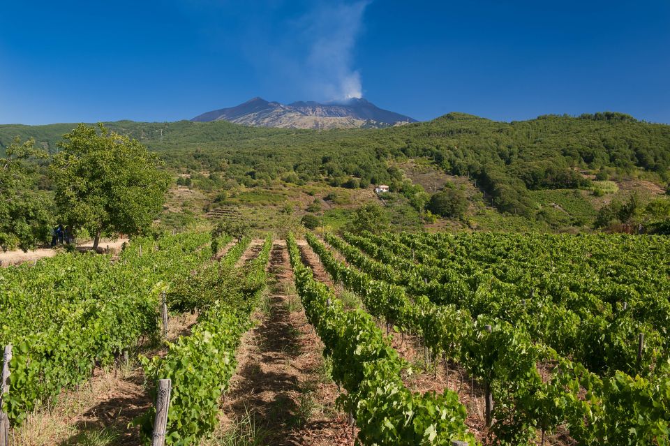 Catania, Taormina, Messina: 3 Etna Wineries Tour & Tasting - Frequently Asked Questions