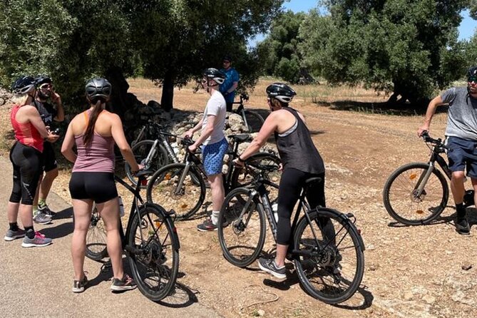 E-Bike, Focaccia and Wine - Tour Highlights