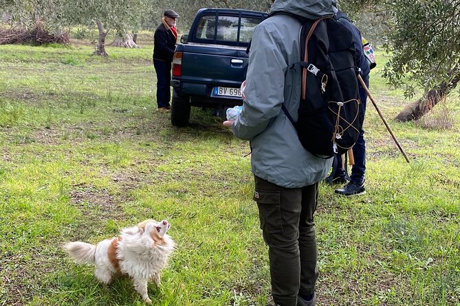 Food and Wine Tour Between the Patriarchs Olives and the Oil Temples - Cancellation Policy