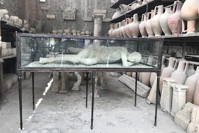 Half-Day Exclusive Private Tour of Pompeii and Herculaneum - Guide Information