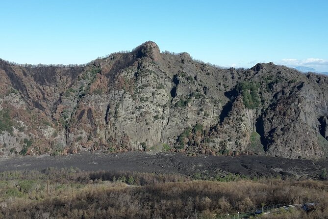 Mount Vesuvius Tour by Bus and Ticket Included From Ercolano - Booking Process and Options