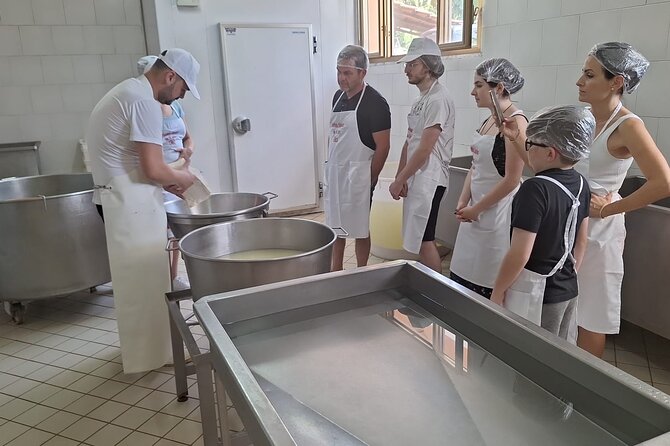 Mozzarella Experience With Tasting in Vico Equense - Cancellation Policy