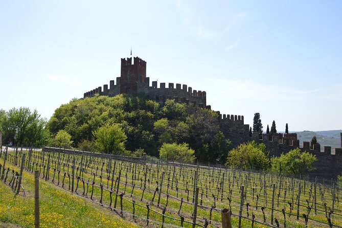 Pagus Wine Tours® - Soave and Amarone - Half Day Wine Tour - Additional Information