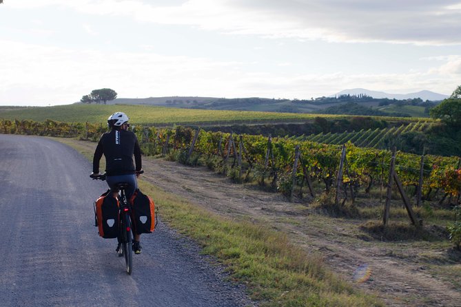 PRIVATE Civita Di Bagnoregio and Orvieto Wine Tasting -Ebike Tour - Safety Measures