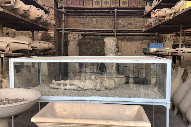 Private Pompeii and Herculaneum Day Tour With Pick up - Multi-lingual Guide