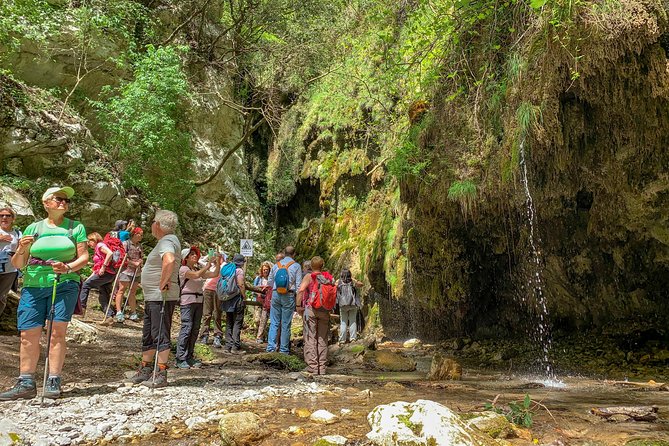 Private Tour: Amalfi Valle Delle Ferriere Nature Reserve Walking Tour - Reviews