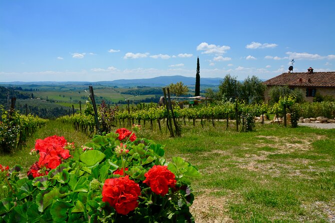 Private Tuscany Day Tour: San Gimignano and Chianti Wine Region From Florence - Reviews