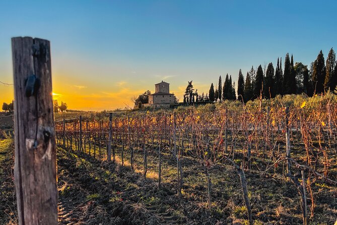 Walking Tour of Chianti Classico With 3 Organic Wine Tasting and Lunch - Cancellation Policy