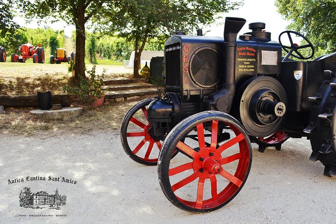 Wine Tour and Tasting at Le Marches Oldest Wine Estate - Additional Tour Information