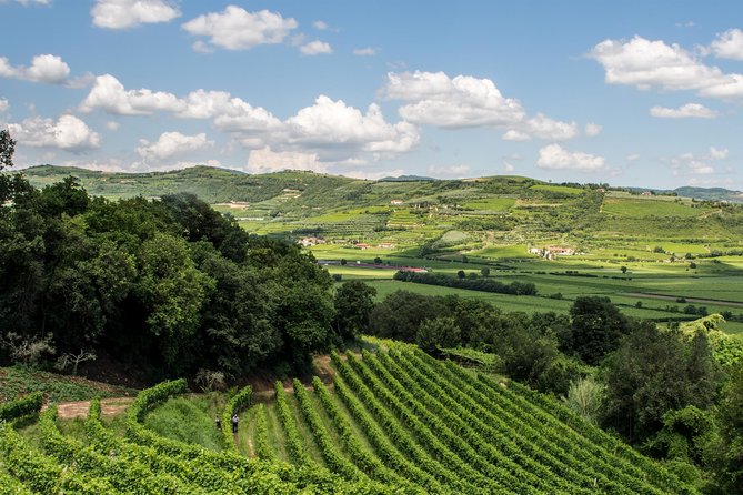 Amarone-Soave Wine Tour. Visit Verona. From Venice - Customer Reviews