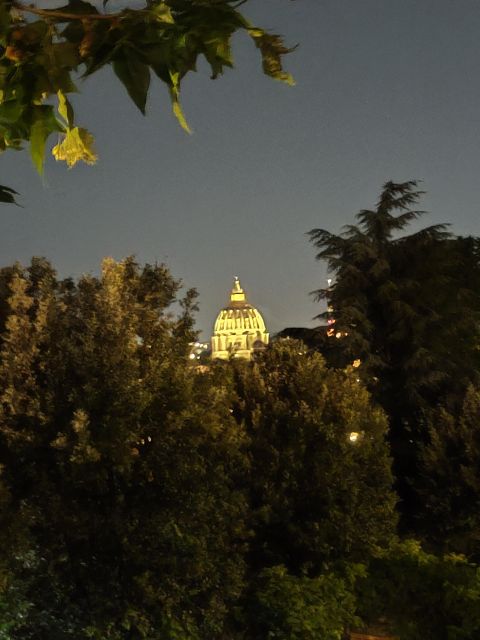 Elegant Rome by Night Tour and Dinner in a Local Restaurant - Customer Reviews