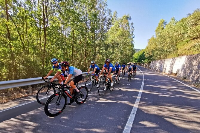 Etna Bike Tour - Cycling in Sicily - Route Description