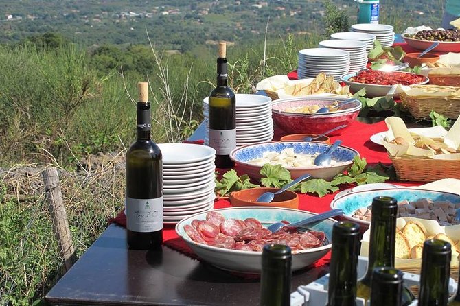 Etna Private Tour From Messina Cruise Terminal + Lunch at Winery - Private Transportation