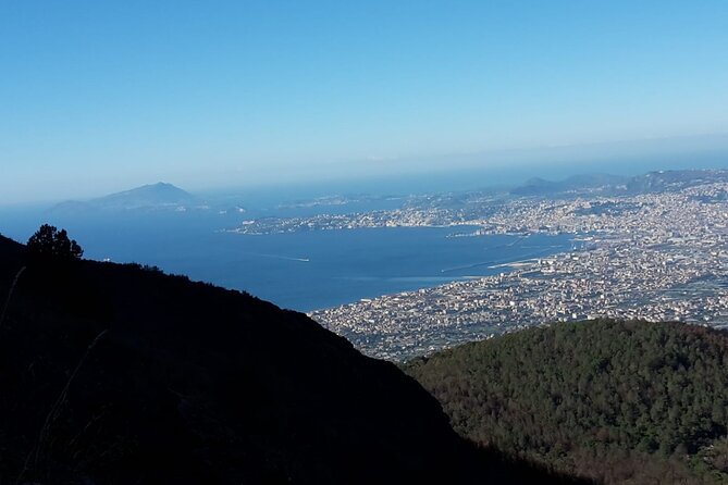 Mount Vesuvius Tour by Bus and Ticket Included From Ercolano - Price and Guarantee Information