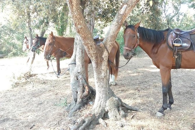 Picnic on Horseback in Rome - Meeting Point