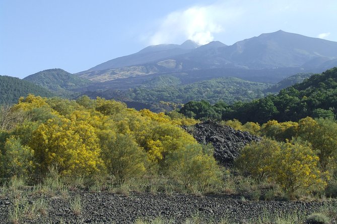 Private Etna Tour From Messina Cruise Terminal+ Lunch at Winery - Inclusions and Options