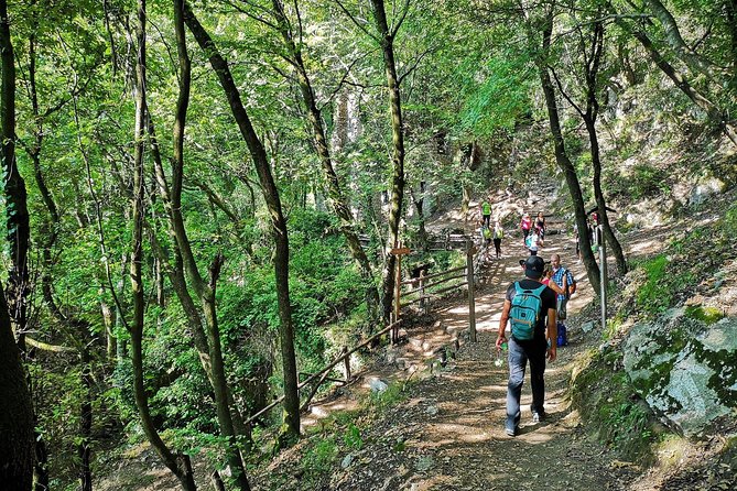 Private Tour: Amalfi Valle Delle Ferriere Nature Reserve Walking Tour - Itinerary Highlights