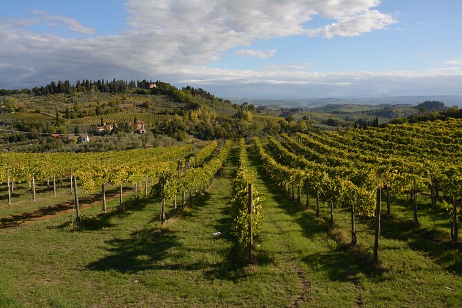 Private Tuscany Day Tour: San Gimignano and Chianti Wine Region From Florence - Directions