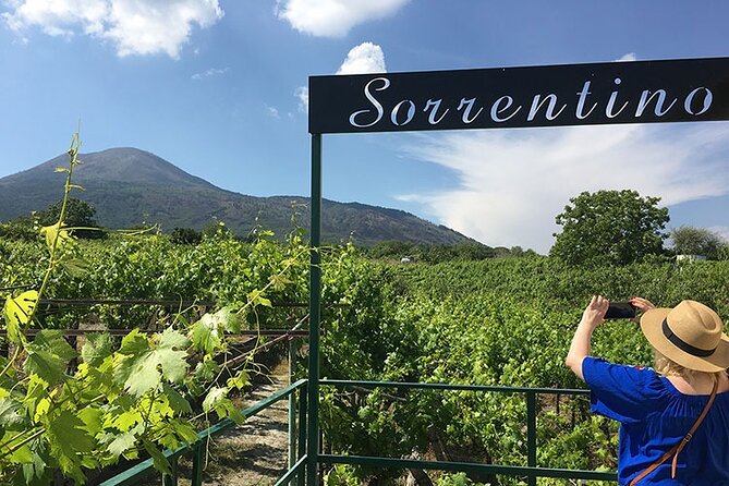 Private Vineyard Tour and Lunch With Dedicated Sommelier and Private Trasport - Tour Itinerary