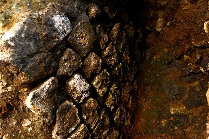 Small-Group Express Tour of Trevi Fountain With Undergrounds - Underground Aqueduct Exploration